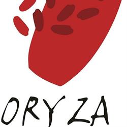Restaurante Oryza, Granada