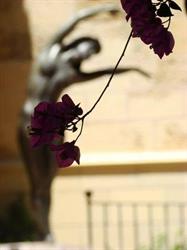 Rosa Dels Vents, Reus