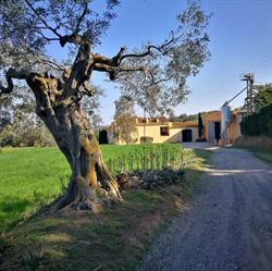 Mas Hortus, Garriguella