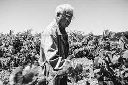 Bodegas y Viñedos Pedro Casis, Gordaliza del Pino