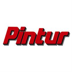 Pintur, Olot