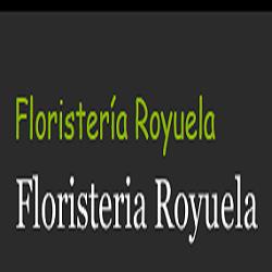 Floristería Royuela, Azkoien