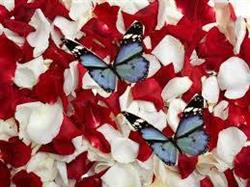 Salón de Belleza Regina, Jaén