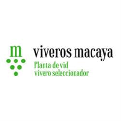 Viveros Macaya - Plantas De Vid, Larraga