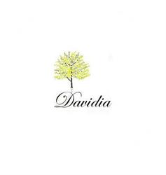 DAVIDIA, Donostia-San Sebastián