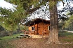 Cabañas Llano de los Conejos, Cañamares