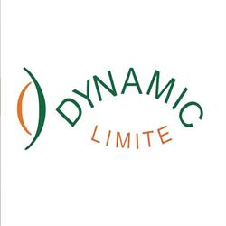 Dynamic Limite S.l., Madrid