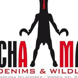 chaman, Baza