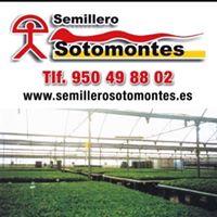 Semillero Sotomontes, Matagorda