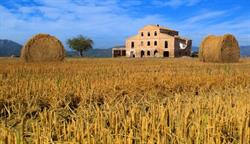 S.a.t. Agrovida, Amposta