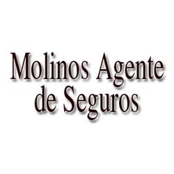 Molinos Agente De Seguros, Redondela