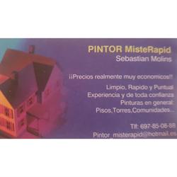 Pintor Misterapid, Mataró