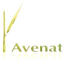 Avenat, Madrid