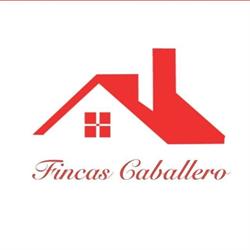 Api Fincas Caballero, Valmojado