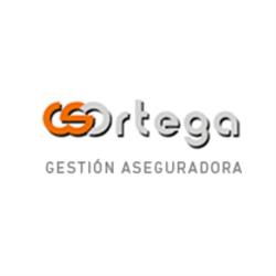 CS Ortega Gestion, A Coruña