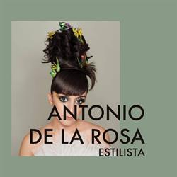 Antonio de La Rosa Ayala, Rute