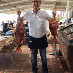 Hostal Restaurante los Rios, Bolonia