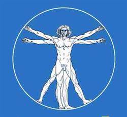 Gimnasio Deporte y Salud S.c., Solares