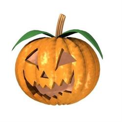 Pumpkin English Institute, Errenteria