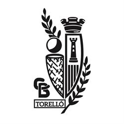 Club Basquet Torello