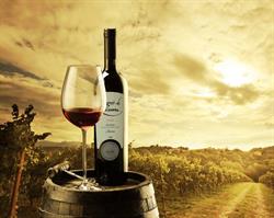 BODEGAS PETRALANDA S.L., Fuenmayor