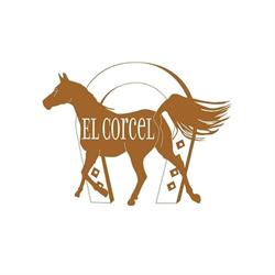 El Corcel Equitacion, Madrid
