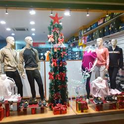 Deportes Balbi, Vigo