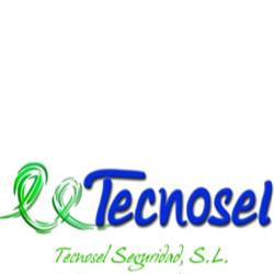 Tecnosel Seguridad S.l., Madrid