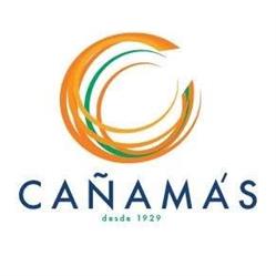 Cañamás Hermanos, Oliva
