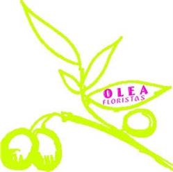 Olea Floristas, S.l., Ourense