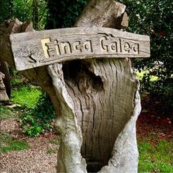 Finca Galea S.L., Alfoz