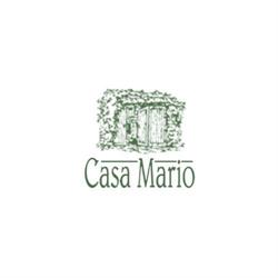 Casa Mario, Cangas del Narcea