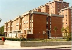 C.p. Atalia, Gijón