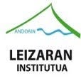 Ies Leizaran Bhi, Andoain