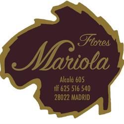 Flores Mariola, Madrid