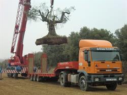 Aritrans Flores S.L.U- Excavaciones en Zaragoza., Magallón
