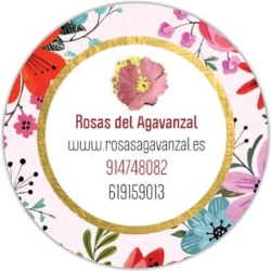 Enviar flores Madrid floristeria Rosas Agavanzal