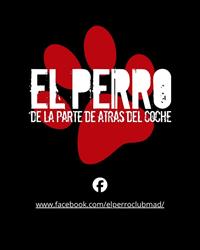 El Perro de La Parte de Atrás Del Coche, Madrid