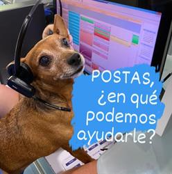 Clinica Veterinaria Postas-Hospital Veterinario, Aranjuez