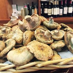 LA Ponderosa, Cuenca