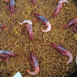 Restaurante Ca Pepica, Oliva