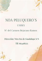Noa Peluqueros, Rota