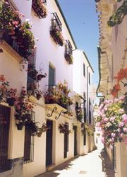 La Posada Real, Priego de Córdoba
