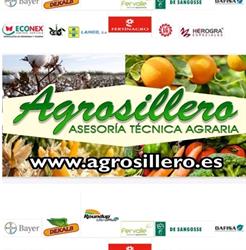 Agroquimicos Hermanos Sillero Ruiz S.L., Palma del Río