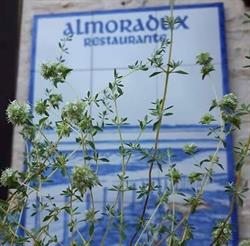 Restaurante Almoradux, Hinojos