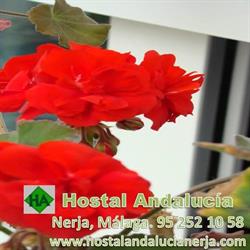 Hostal Andalucia, Nerja