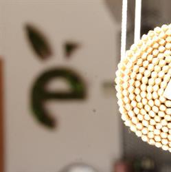 Cafe Eden, Palencia