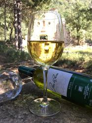 Bodegas Fernandez Eguiluz, Sl, Ábalos