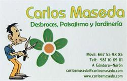 Carlos Maseda, Narón