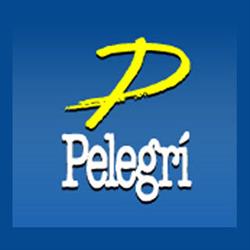 Electricitat Industrial Pelegrí S.L., Torrefarrera